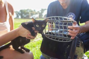 castrapet_01112024_foto-_patryck_madeira-4