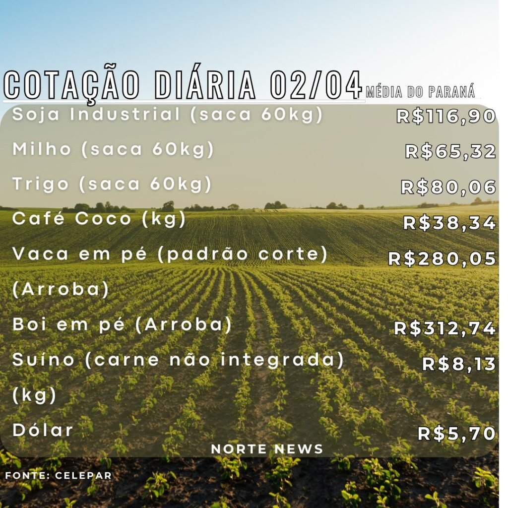 WhatsApp Image 2025-04-02 at 12.07.57
