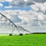 Paraná tem investido para ampliar o número de projetos de irrigação para produtores rurais em meio a seca e perdas de safra