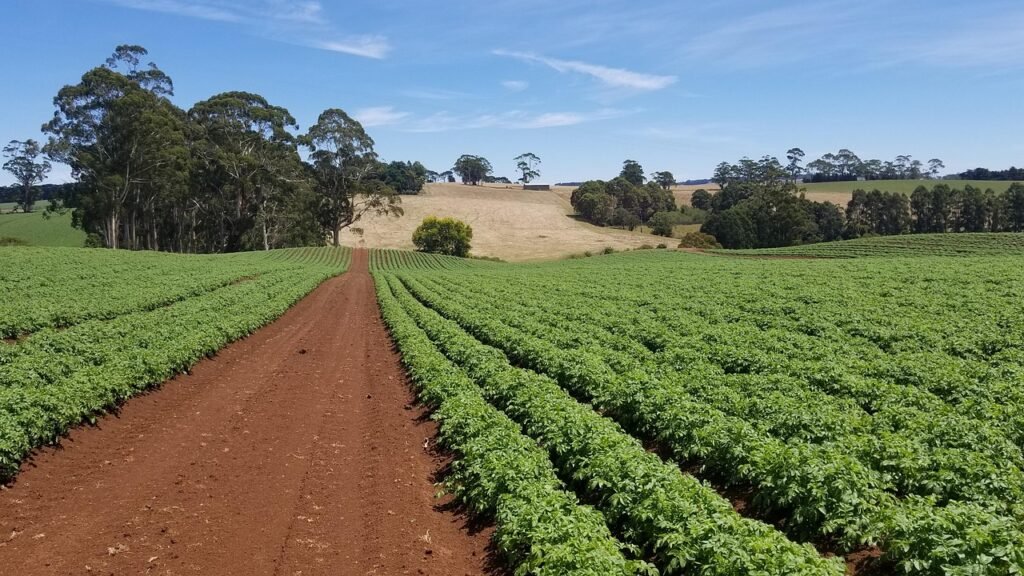 agriculture-3126967-1280