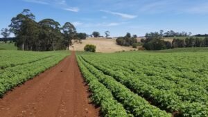 agriculture-3126967-1280