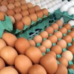 Com preços de alimentos em queda, inflação fica em 0,24% em junho