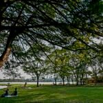 Reta final do inverno: setembro começa na segunda com mais calor e chuvas mais intensas
